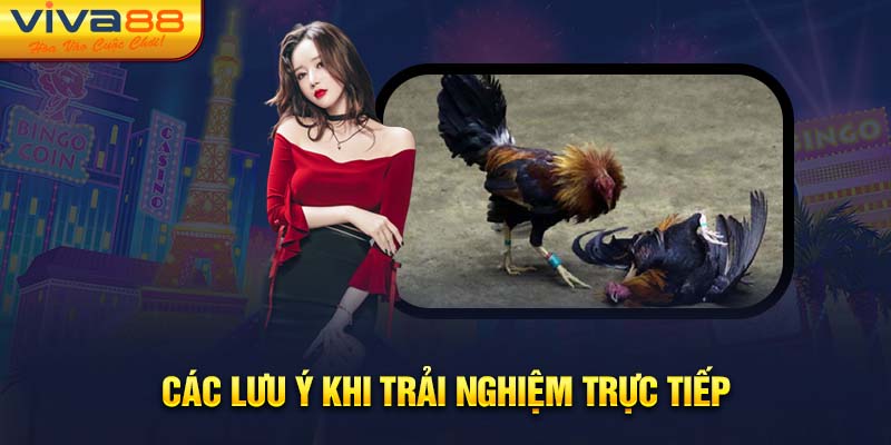 Các lưu ý khi trải nghiệm trực tiếp