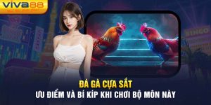 Đá gà cựa sắt