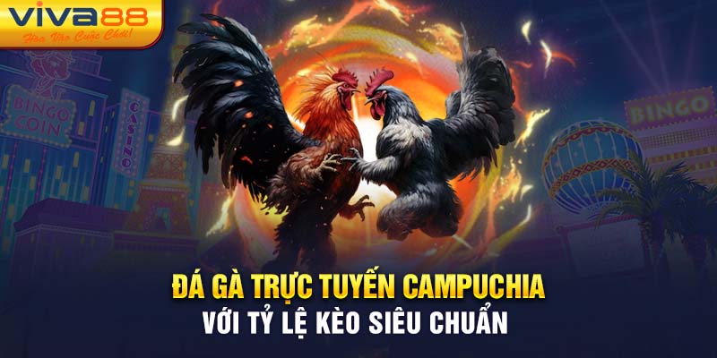 Đá Gà Trực Tuyến Campuchia Với Tỷ Lệ Kèo Siêu Chuẩn