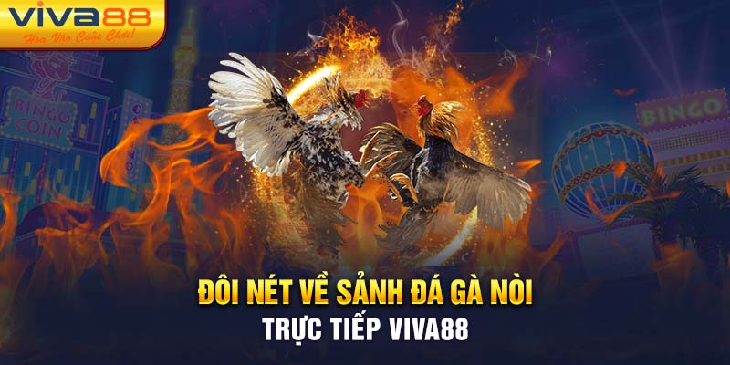 Đôi nét về sảnh đá gà nòi trực tiếp Viva88