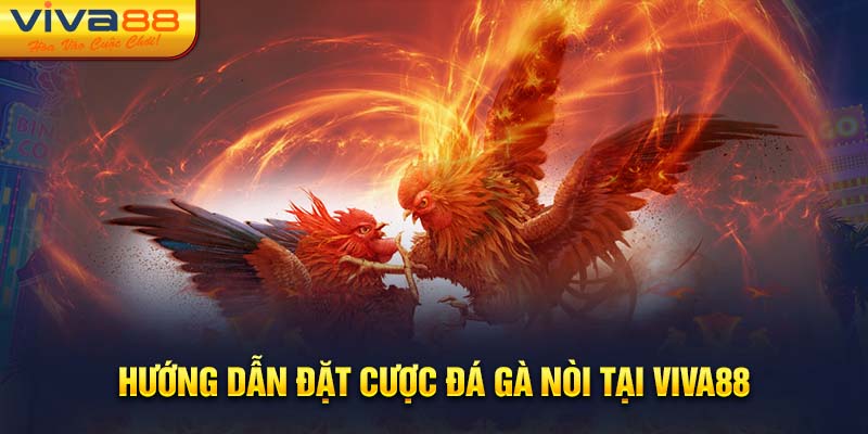 Hướng dẫn đặt cược đá gà nòi tại Viva88