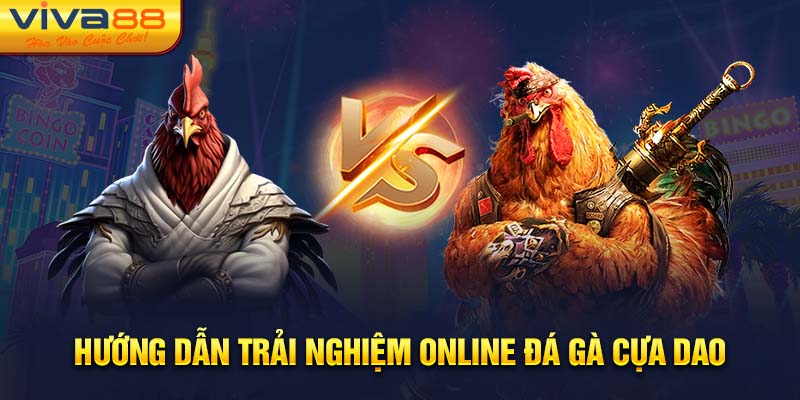 Hướng dẫn trải nghiệm online đá gà cựa dao