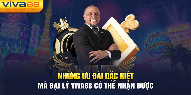 Những ưu đãi đặc biệt mà đại lý Viva88 có thể nhận được