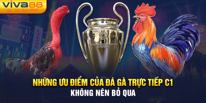 Đá gà trực tiếp C1