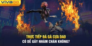 Trực tiếp đá gà cựa dao